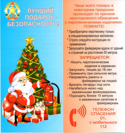 Безопасный Новый год Безопасный Новый год.